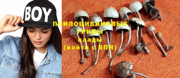 spice Зеленокумск