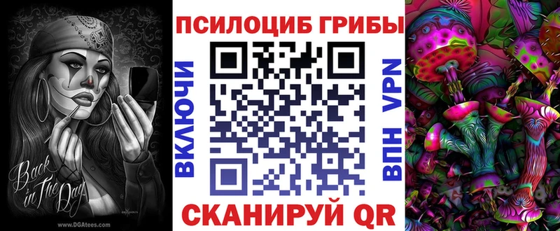 закладки  МЕГА сайт  Псилоцибиновые грибы Psilocybine cubensis  Снежинск 